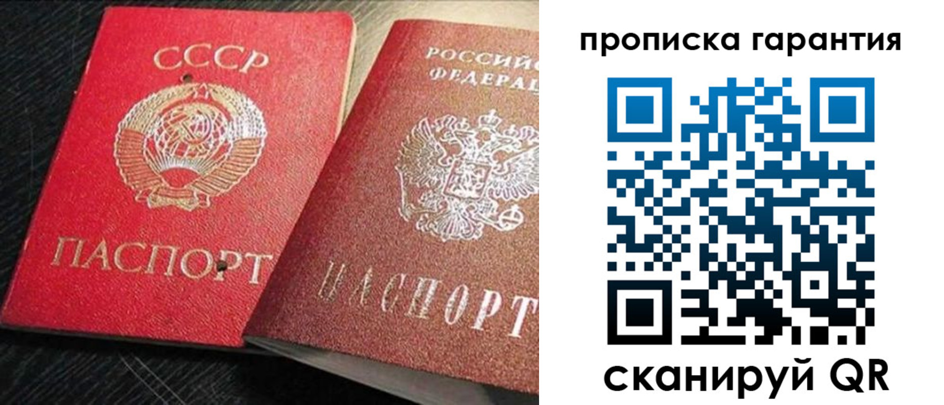 прописка 2025 в Кольчугино